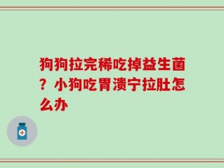 狗狗拉完稀吃掉益生菌？小狗吃胃溃宁拉肚怎么办