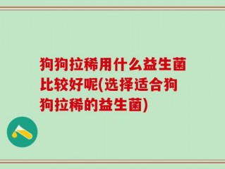 狗狗拉稀用什么益生菌比较好呢(选择适合狗狗拉稀的益生菌)