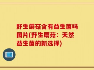 野生蘑菇含有益生菌吗图片(野生蘑菇：天然益生菌的新选择)