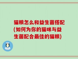 猫粮怎么和益生菌搭配(如何为你的猫咪与益生菌配合最佳的猫粮)
