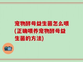 宠物酵母益生菌怎么喂(正确喂养宠物酵母益生菌的方法)