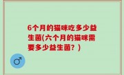 6个月的猫咪吃多少益生菌(六个月的猫咪需要多少益生菌？)