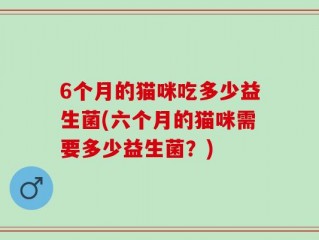 6个月的猫咪吃多少益生菌(六个月的猫咪需要多少益生菌？)