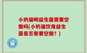 小奶猫喝益生菌需要空腹吗(小奶猫饮用益生菌是否需要空腹？)