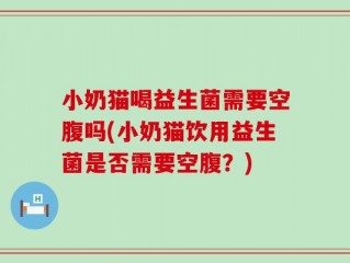 小奶猫喝益生菌需要空腹吗(小奶猫饮用益生菌是否需要空腹？)
