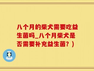 八个月的柴犬需要吃益生菌吗_八个月柴犬是否需要补充益生菌？)