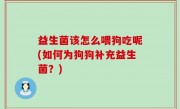 益生菌该怎么喂狗吃呢(如何为狗狗补充益生菌？)