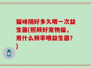 猫咪隔好多久喂一次益生菌(照顾好宠物猫，用什么频率喂益生菌？)