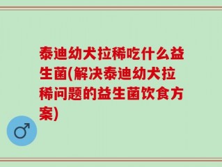 泰迪幼犬拉稀吃什么益生菌(解决泰迪幼犬拉稀问题的益生菌饮食方案)