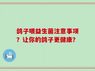 鸽子喂益生菌注意事项？让你的鸽子更健康？