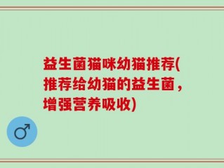 益生菌猫咪幼猫推荐(推荐给幼猫的益生菌，增强营养吸收)