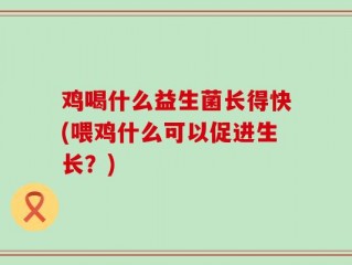 鸡喝什么益生菌长得快(喂鸡什么可以促进生长？)