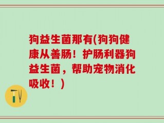 狗益生菌那有(狗狗健康从善肠！护肠利器狗益生菌，帮助宠物消化吸收！)