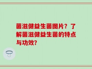 菌滋健益生菌图片？了解菌滋健益生菌的特点与功效？