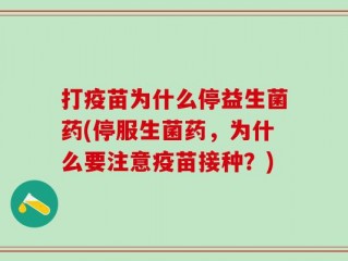 打疫苗为什么停益生菌药(停服生菌药，为什么要注意疫苗接种？)