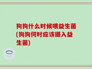 狗狗什么时候喂益生菌(狗狗何时应该摄入益生菌)
