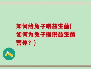 如何给兔子喂益生菌(如何为兔子提供益生菌营养？)