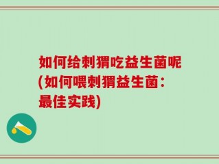如何给刺猬吃益生菌呢(如何喂刺猬益生菌：最佳实践)