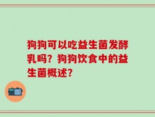 狗狗可以吃益生菌发酵乳吗？狗狗饮食中的益生菌概述？