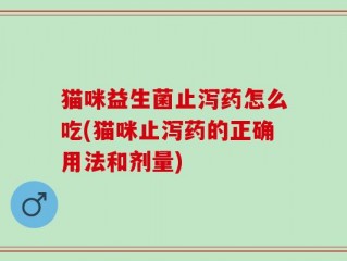 猫咪益生菌止泻药怎么吃(猫咪止泻药的正确用法和剂量)