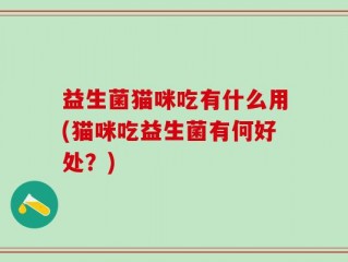 益生菌猫咪吃有什么用(猫咪吃益生菌有何好处？)