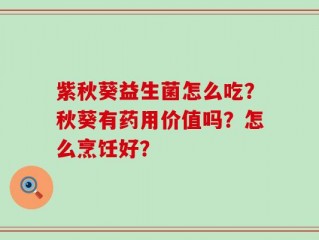 紫秋葵益生菌怎么吃？秋葵有药用价值吗？怎么烹饪好？