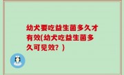 幼犬要吃益生菌多久才有效(幼犬吃益生菌多久可见效？)
