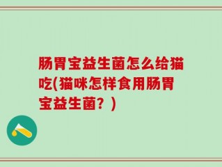 肠胃宝益生菌怎么给猫吃(猫咪怎样食用肠胃宝益生菌？)