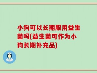 小狗可以长期服用益生菌吗(益生菌可作为小狗长期补充品)