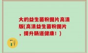 大的益生菌粉图片高清版(高清益生菌粉图片，提升肠道健康！)