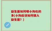 益生菌如何喂小狗吃的多(小狗应该如何摄入益生菌？)