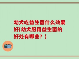 幼犬吃益生菌什么效果好(幼犬服用益生菌的好处有哪些？)