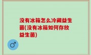 没有冰箱怎么冷藏益生菌(没有冰箱如何存放益生菌)