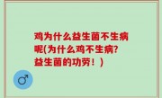 鸡为什么益生菌不生病呢(为什么鸡不生病？益生菌的功劳！)