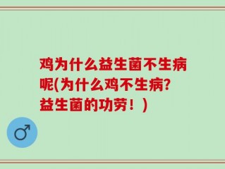 鸡为什么益生菌不生病呢(为什么鸡不生病？益生菌的功劳！)
