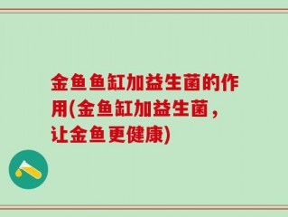 金鱼鱼缸加益生菌的作用(金鱼缸加益生菌，让金鱼更健康)