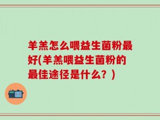 羊羔怎么喂益生菌粉最好(羊羔喂益生菌粉的最佳途径是什么？)