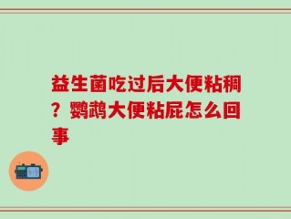 益生菌吃过后大便粘稠？鹦鹉大便粘屁怎么回事