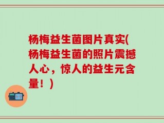杨梅益生菌图片真实(杨梅益生菌的照片震撼人心，惊人的益生元含量！)