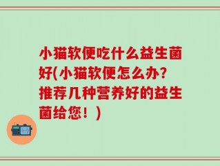 小猫软便吃什么益生菌好(小猫软便怎么办？推荐几种营养好的益生菌给您！)