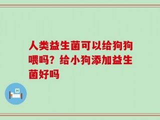 人类益生菌可以给狗狗喂吗？给小狗添加益生菌好吗