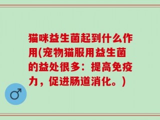 猫咪益生菌起到什么作用(宠物猫服用益生菌的益处很多：提高免疫力，促进肠道消化。)