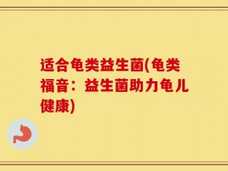 适合龟类益生菌(龟类福音：益生菌助力龟儿健康)