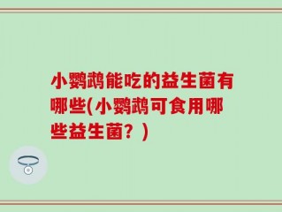 小鹦鹉能吃的益生菌有哪些(小鹦鹉可食用哪些益生菌？)