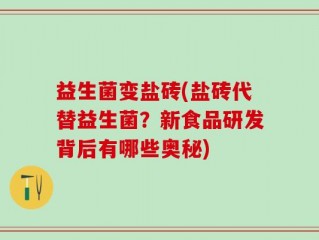 益生菌变盐砖(盐砖代替益生菌？新食品研发背后有哪些奥秘)
