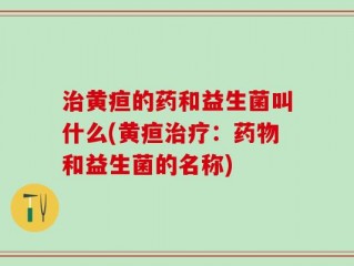 治黄疸的药和益生菌叫什么(黄疸治疗：药物和益生菌的名称)