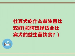 杜宾犬吃什么益生菌比较好(如何选择适合杜宾犬的益生菌饮食？)