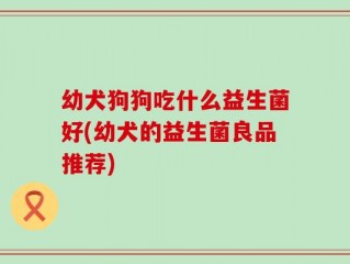 幼犬狗狗吃什么益生菌好(幼犬的益生菌良品推荐)