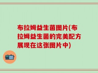 布拉姆益生菌图片(布拉姆益生菌的完美配方展现在这张图片中)