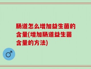 肠道怎么增加益生菌的含量(增加肠道益生菌含量的方法)